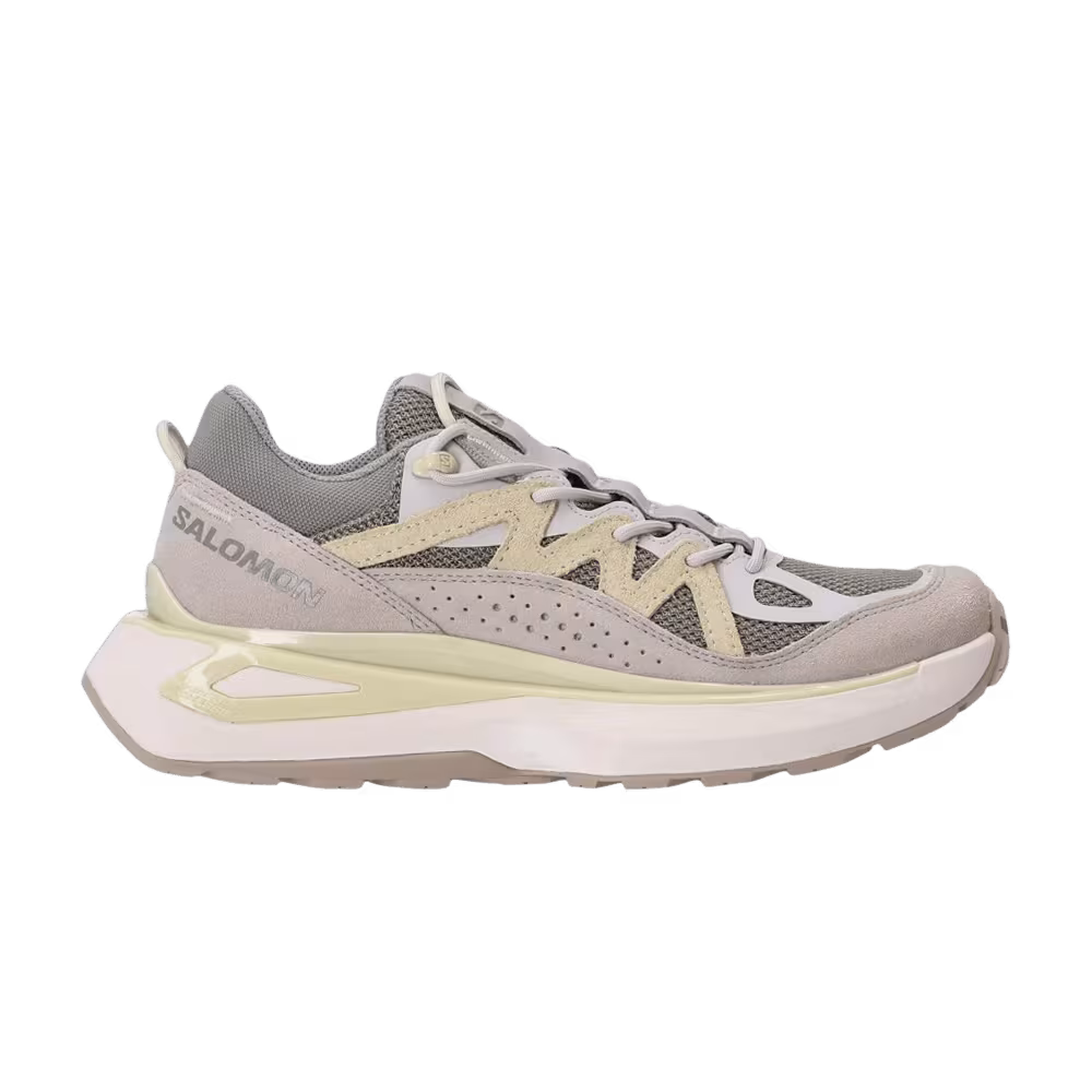 Salomon Odyssey Elmt Low Shadow Metal Aloe Wash