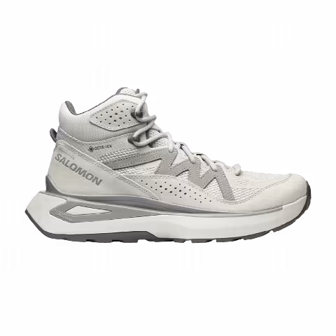 Salomon Odyssey ELMT Mid GORE-TEX 'Metal Plum Kitten'
