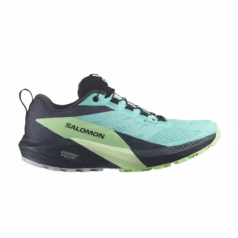 Salomon Wmns Sense Ride 5 GORE-TEX 'Blue Radiance India Ink'
