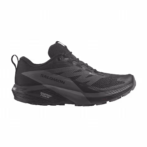 Salomon Wmns Sense Ride 5 GORE-TEX 'Black Magnet'