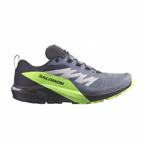 Salomon Sense Ride 5 GORE-TEX 'Flint Stone Green Gecko'