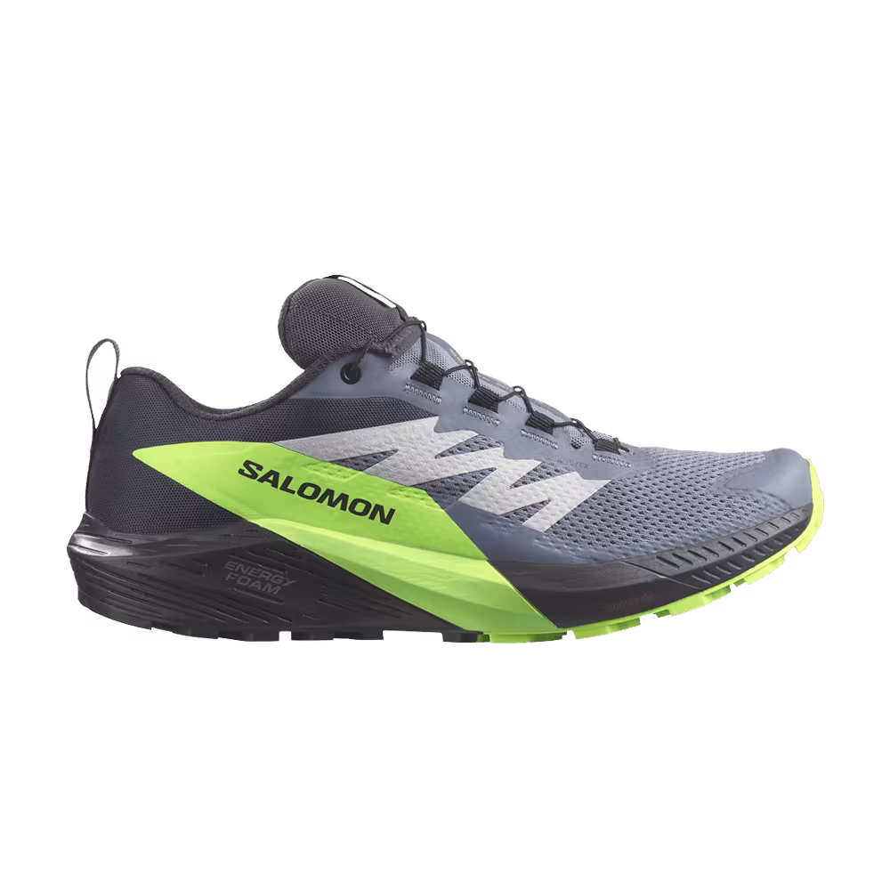 Salomon Sense Ride 5 GORE-TEX Flint Stone Green Gecko