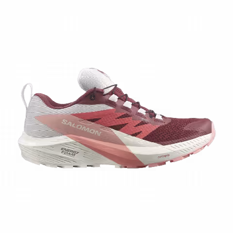 Salomon Wmns Sense Ride 5 GORE-TEX 'Syrah Peach Amber'