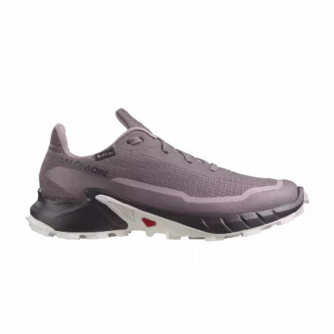 Salomon Wmns Alphacross 5 GORE-TEX 'Moonscape'