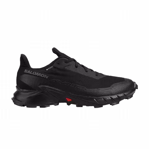 Salomon Alphacross 5 GORE-TEX 'Black Ebony'