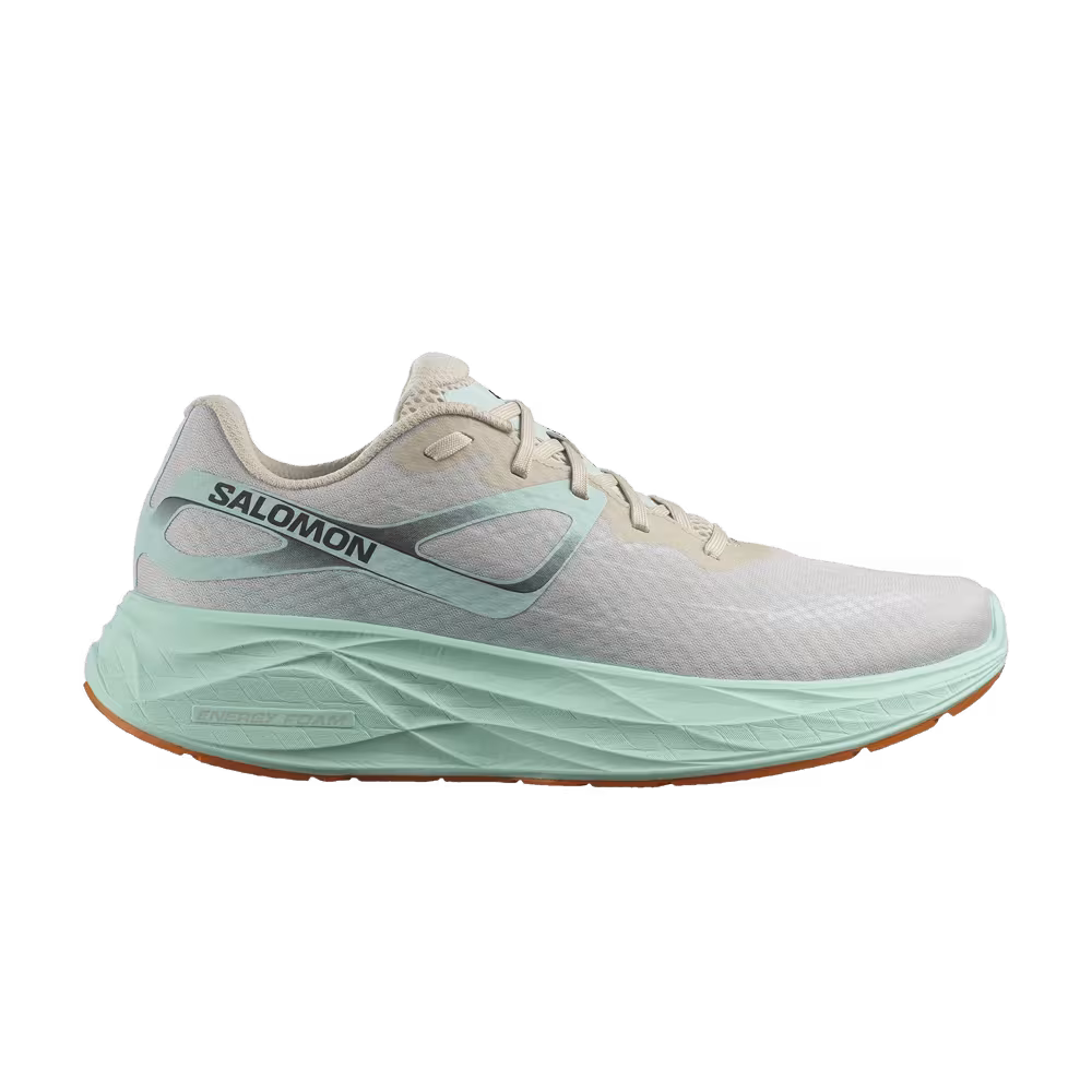 Salomon Aero Glide Bleached Sand Yucca
