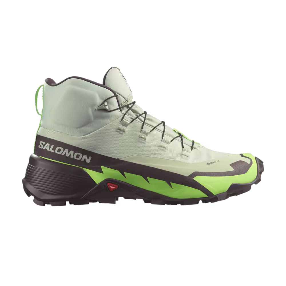 Salomon Cross Hike 2 Mid GORE-TEX Desert Sage Green Gecko