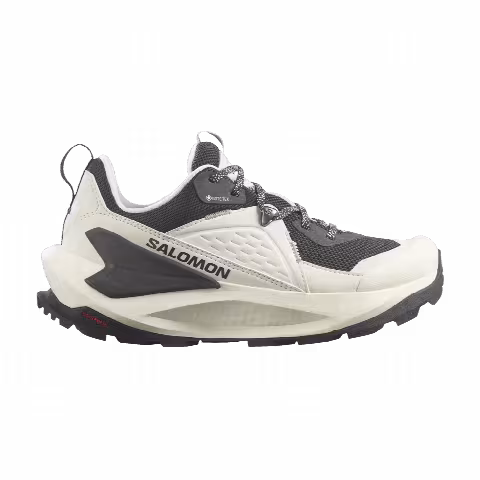 Salomon Wmns Elixir GORE-TEX 'Vanilla Ice Metal'