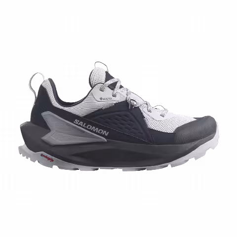 Salomon Wmns Elixir GORE-TEX 'Carbon Flint Stone'