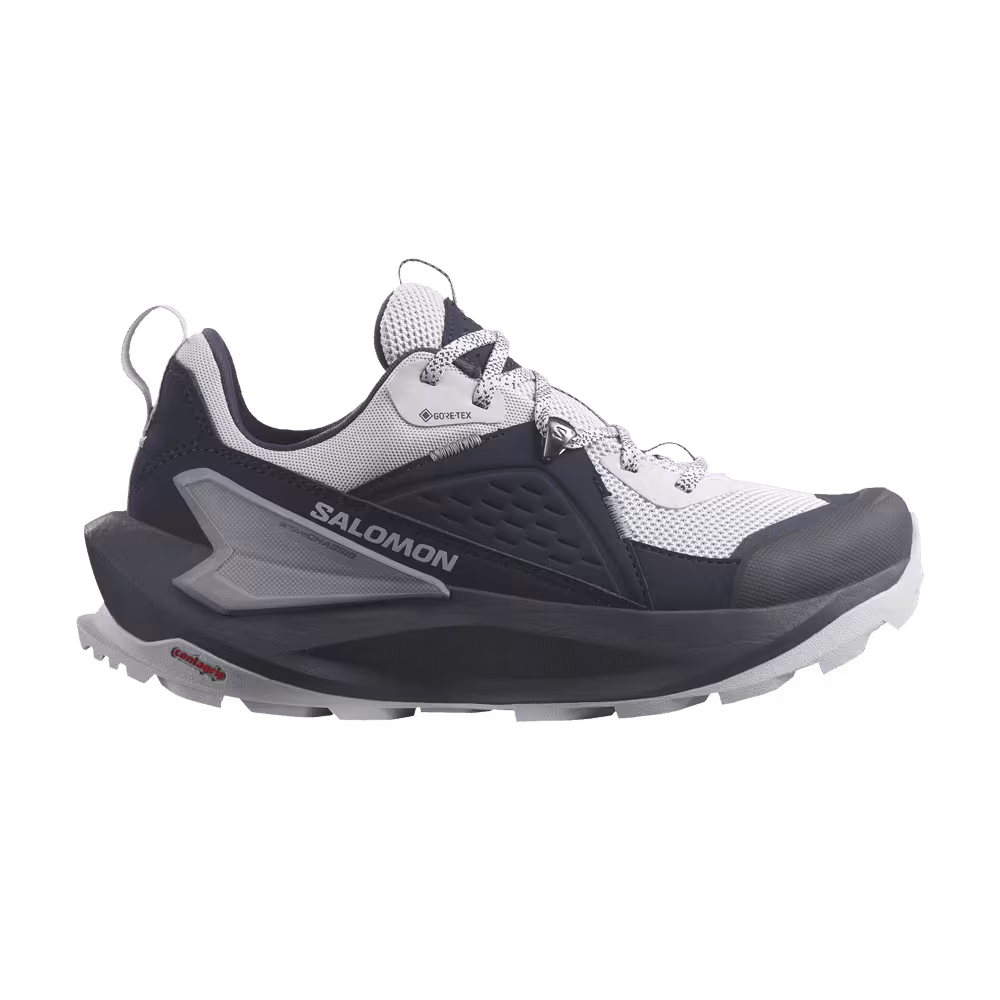 Salomon Women's Elixir GORE-TEX Carbon Flint Stone