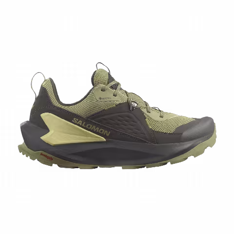 Salomon Elixir GORE-TEX 'Black Dried Herb'