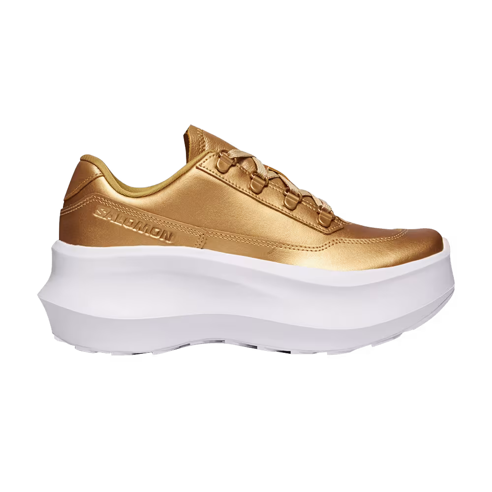 Comme des Garçons Homme Plus x Salomon SR811 Gold