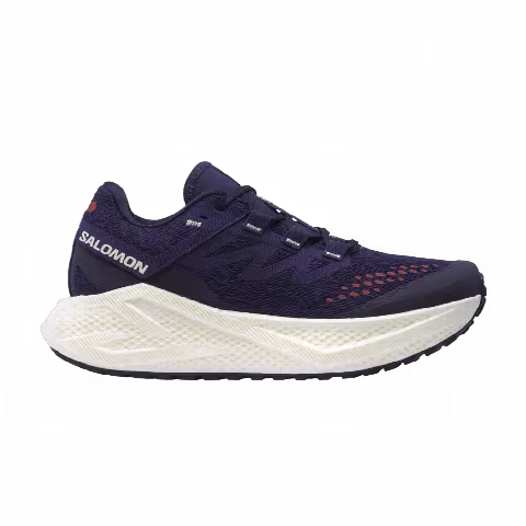 Salomon Wmns Aero Glide 3 GRVL 'Astral Aura'