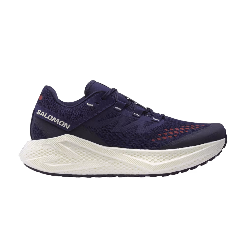 Salomon Aero Glide 3 GRVL Astral Aura