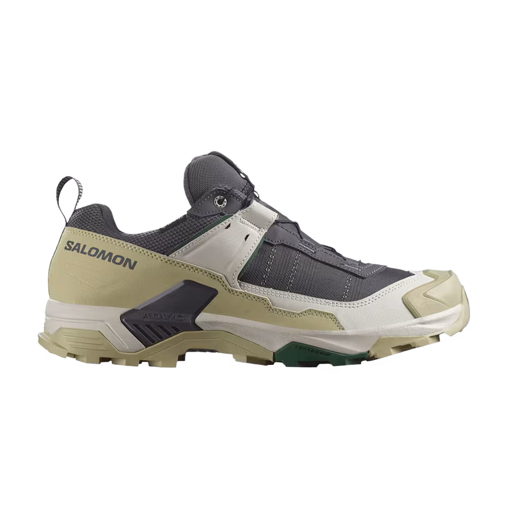 Salomon X Ultra 5 GORE-TEX Asphalt Eden