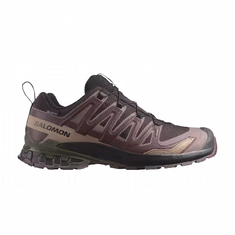 Salomon XA Pro 3D V9 GORE-TEX 'Rum Raisin'