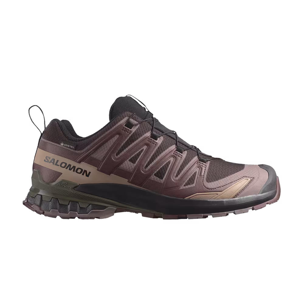 Salomon XA Pro 3D V9 GORE-TEX Rum Raisin