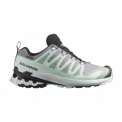 Salomon Wmns XA Pro 3D V9 GORE-TEX 'Quiet Shade'