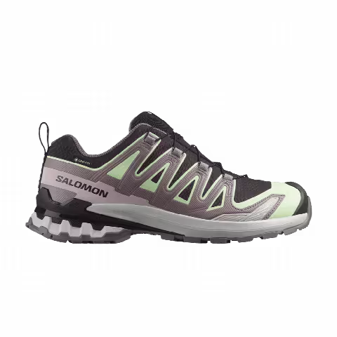 Salomon Wmns XA Pro 3D V9 GORE-TEX 'Black Grey Violet'