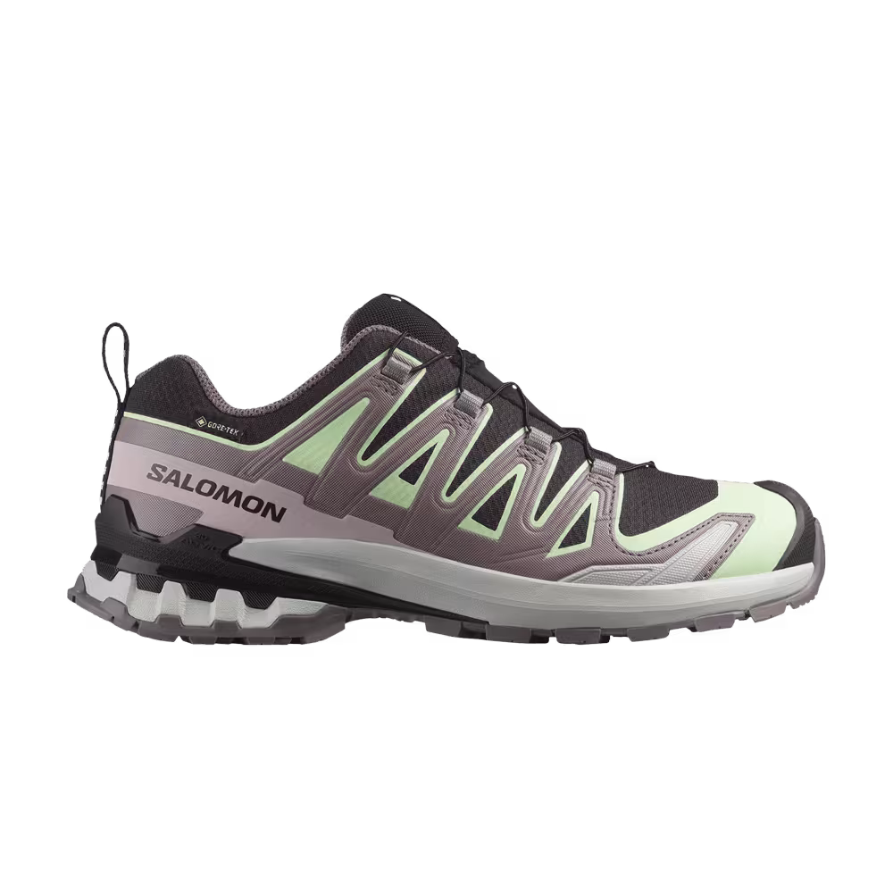Salomon Women's XA Pro 3D V9 GORE-TEX Black Grey Violet
