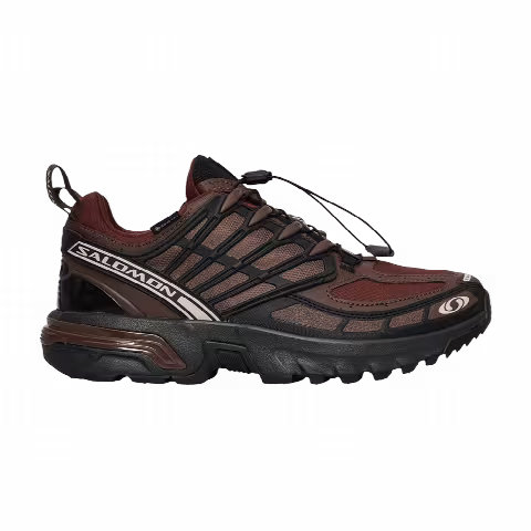 Salomon ACS Pro GORE-TEX 'Clay Rum Raisin'