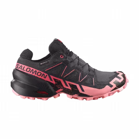 Salomon Wmns Speedcross 6 GORE-TEX 'Nine Iron Flamingo Pink'