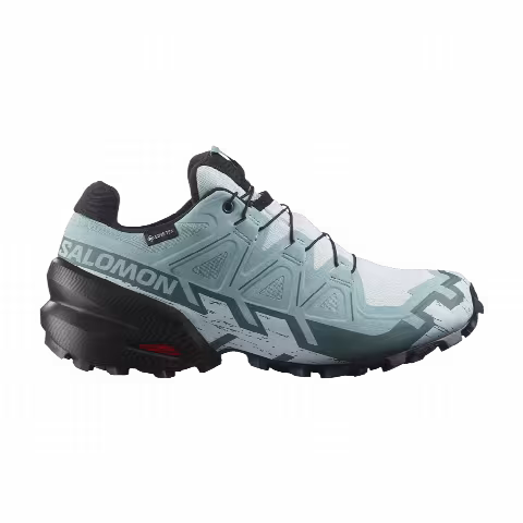 Salomon Wmns Speedcross 6 GORE-TEX 'Ballad Blue'
