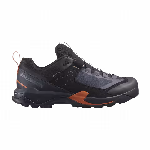Salomon X Ultra Alpine GORE-TEX 'Blue Nights Black'