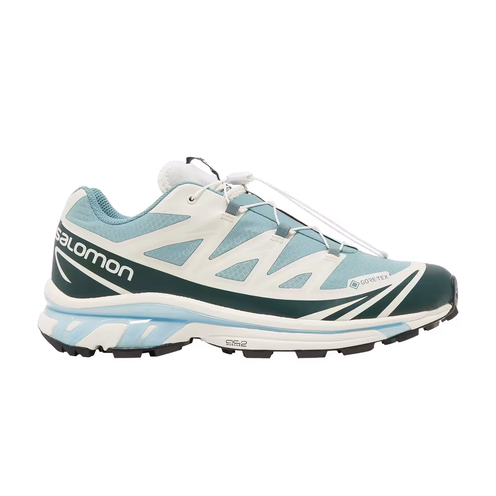 Kith x Salomon XT-6 GORE-TEX Trellis Ponderosa Pine