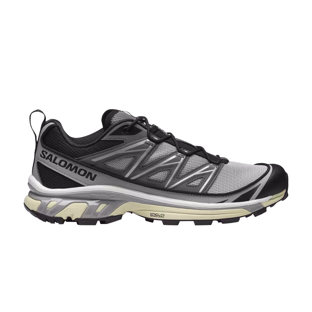 Salomon XT-6 Expanse Alloy Quiet Shade