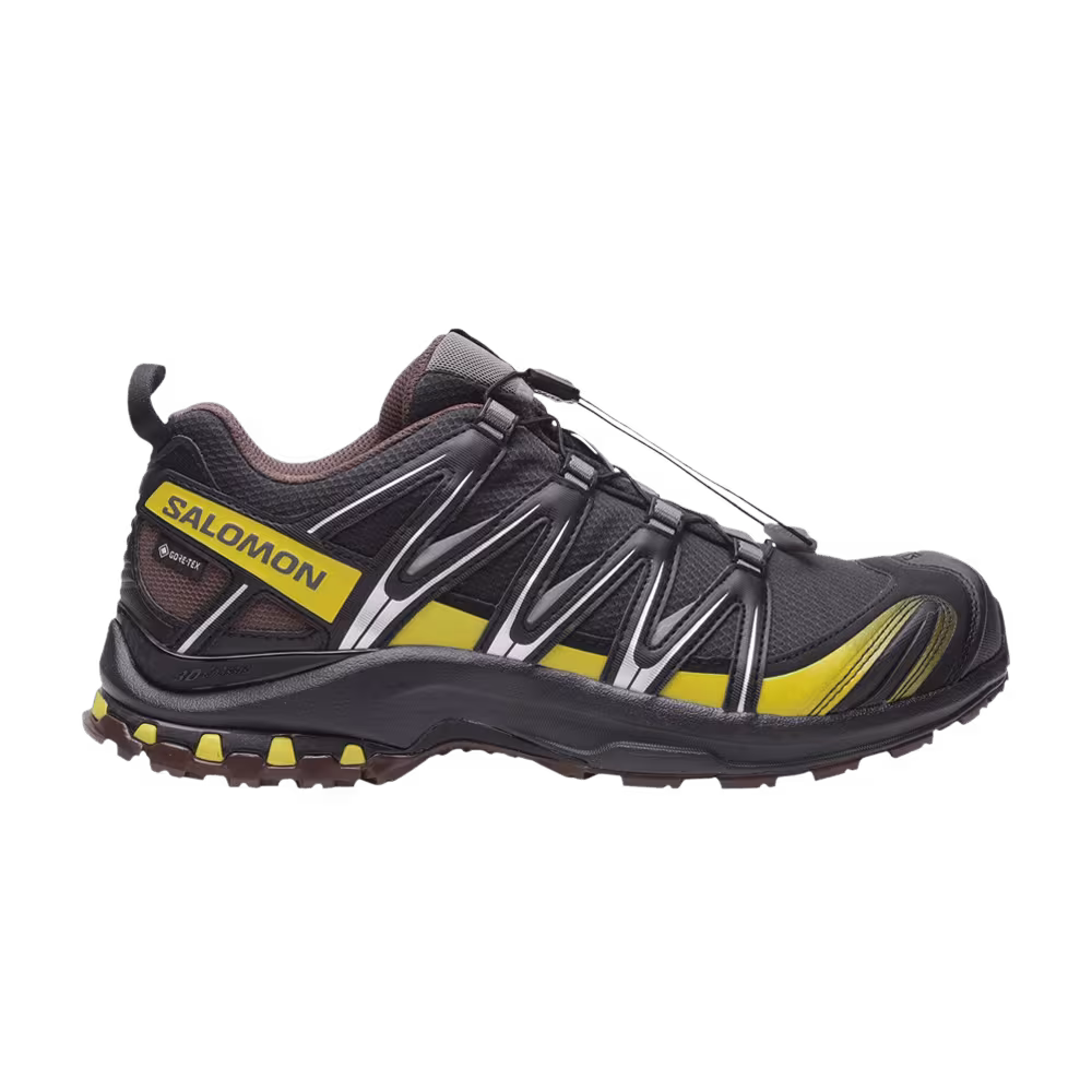 Salomon XA Pro 3D GORE-TEX Cress Green French Roast