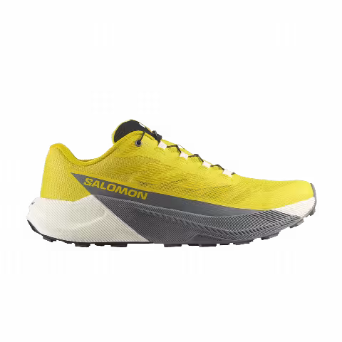 Salomon Pulsar 'Incaberry'
