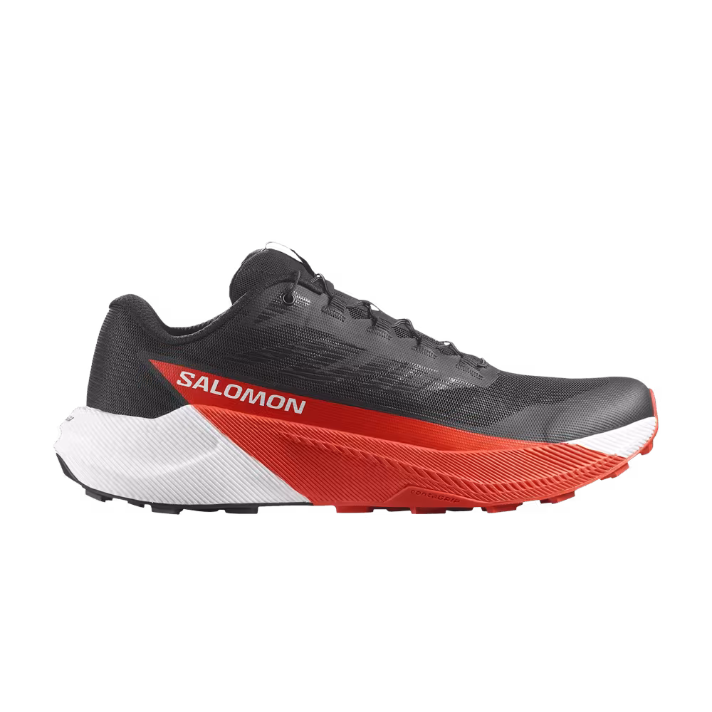 Salomon Pulsar Black Cherry Tomato
