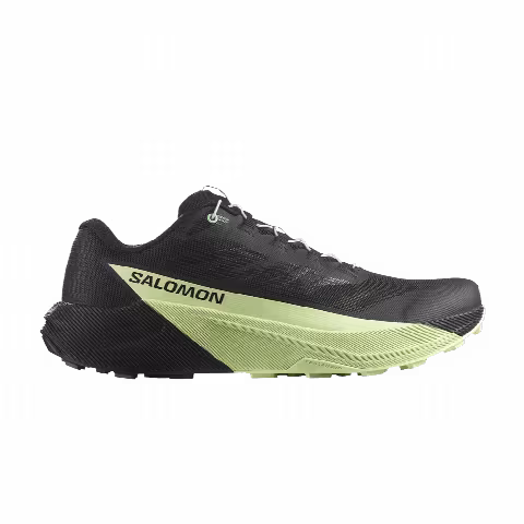 Salomon Pulsar 'Black Patina Green'