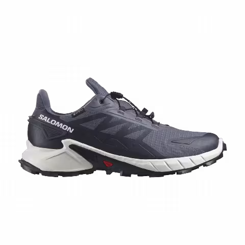 Salomon Supercross 4 GORE-TEX 'Grisaille Carbon'