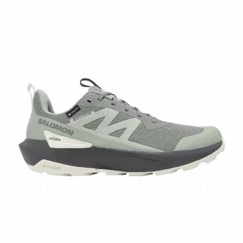 Salomon Elixir Activ GORE-TEX 'Sedona Sage'