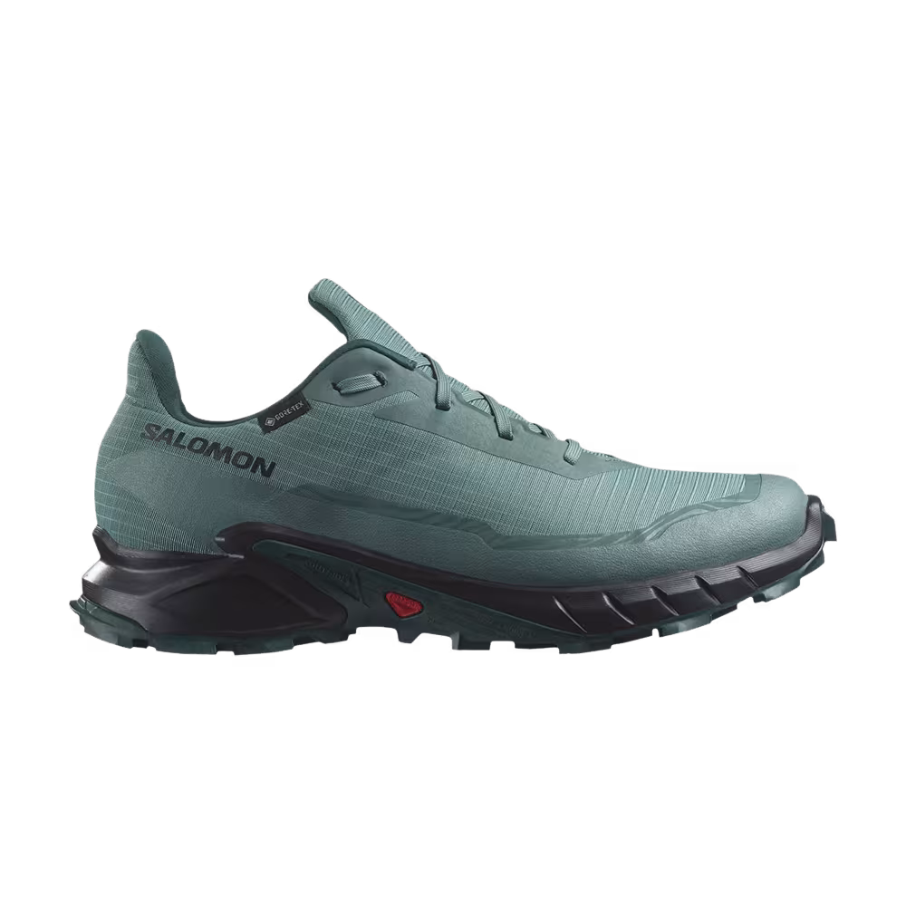 Salomon Alphacross 5 GORE-TEX Sea Moss Black