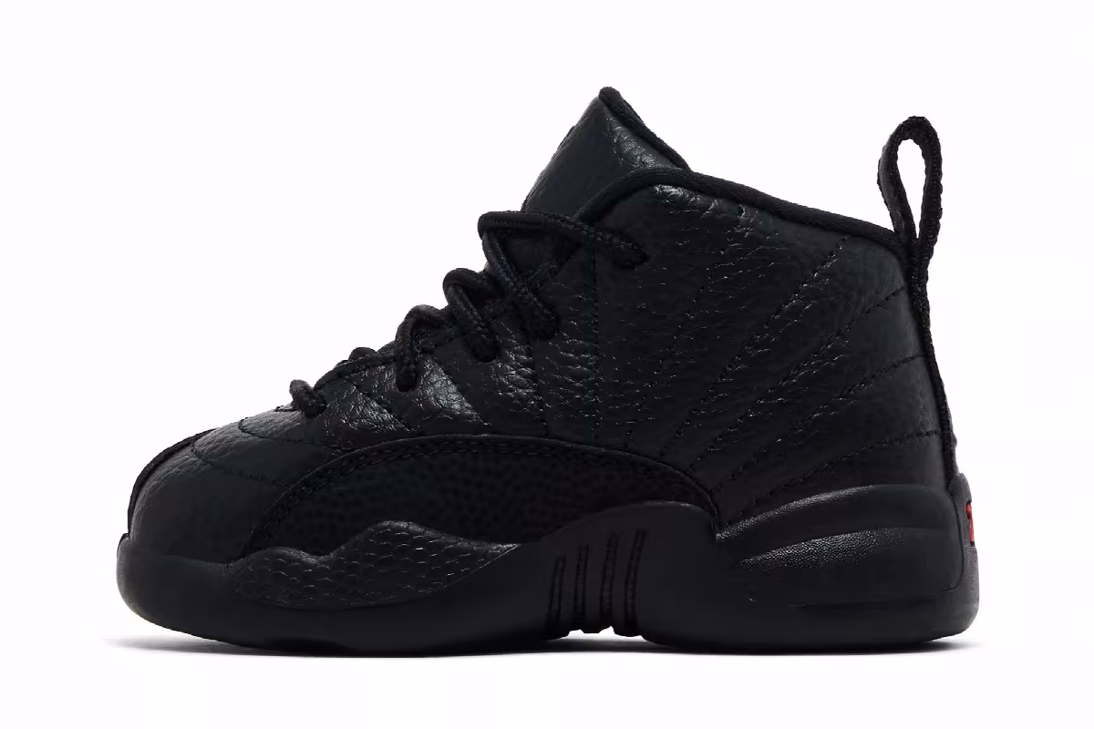 Air Jordan 12 TD Bloodline, view 4