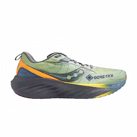 Saucony Triumph 22 GORE-TEX 'Sage Carbon'