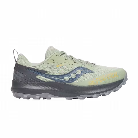 Saucony Wmns Peregrine 14 GORE-TEX 'Sage Carbon'