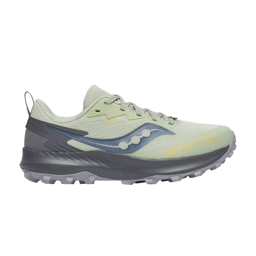 Saucony Women's Peregrine 14 GORE-TEX Sage Carbon