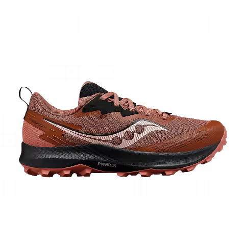Saucony Wmns Peregrine 14 GORE-TEX 'Clove Black'