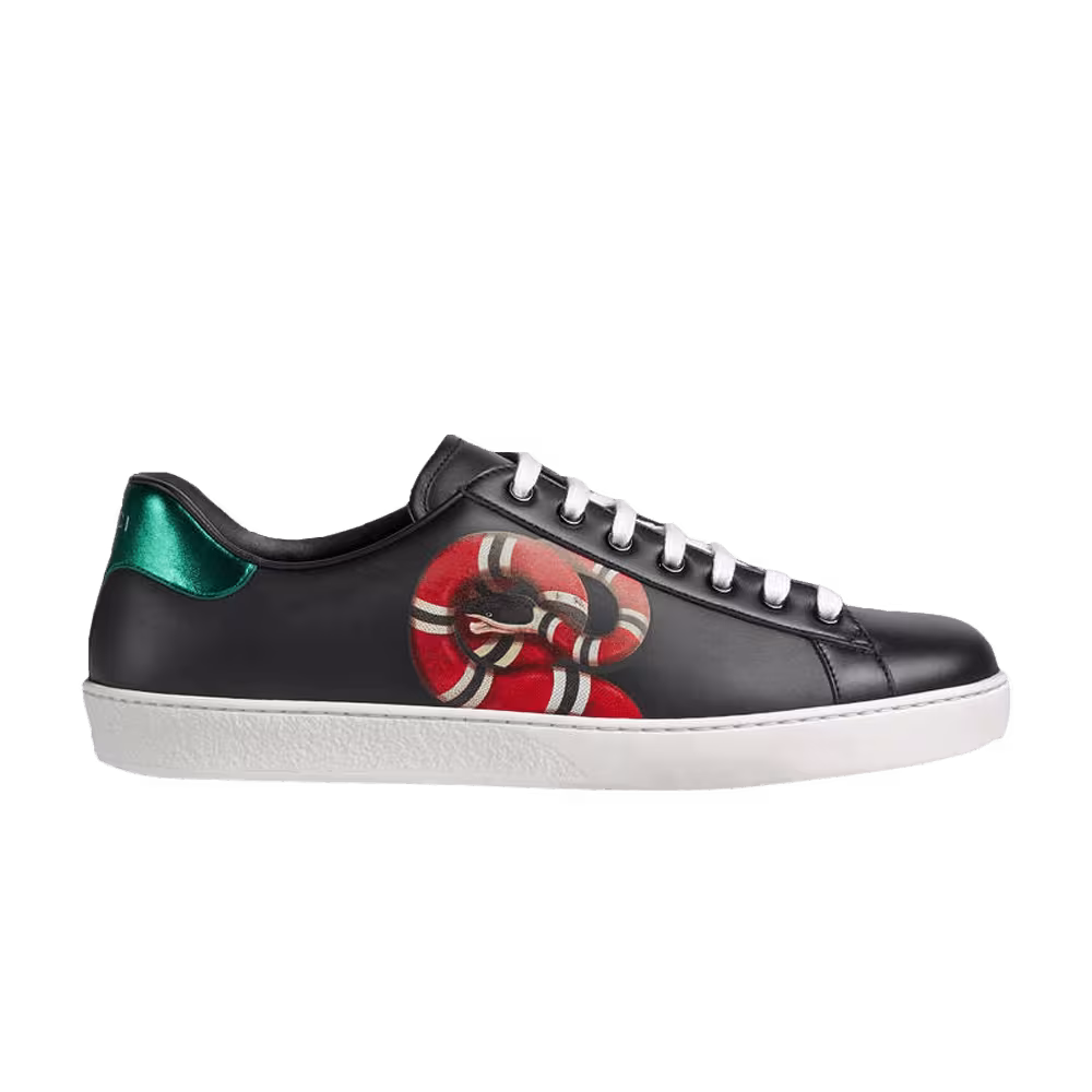Gucci Ace Kingsnake