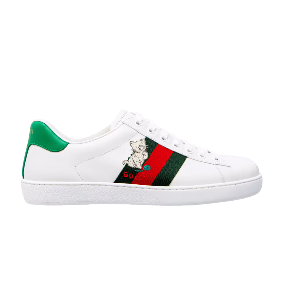 Gucci Ace Kitten