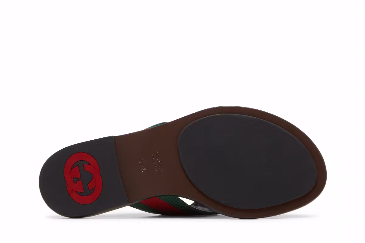 Gucci Women's GG Web Sandal Black, view 5