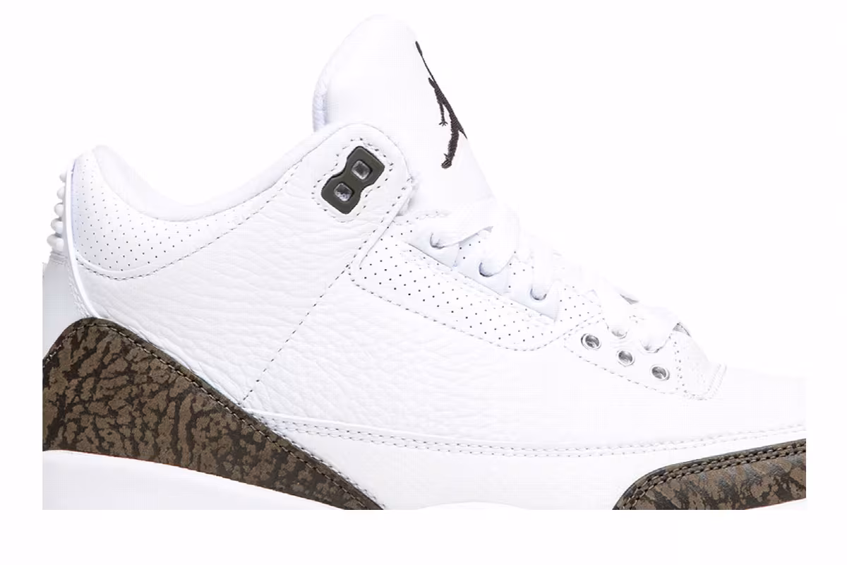 Air Jordan 3 Mocha 2018, view 3