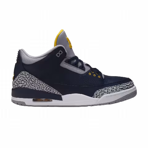 Air Jordan 3 Retro 'Michigan Wolverines' PE