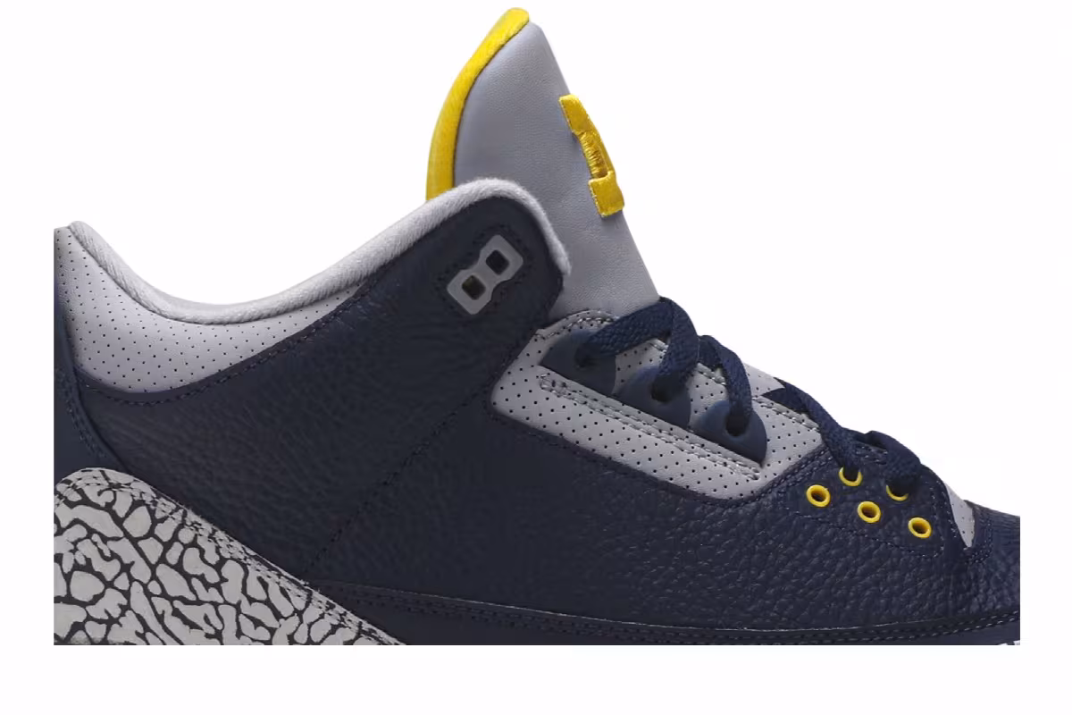 Air Jordan 3 Michigan Wolverines, view 3