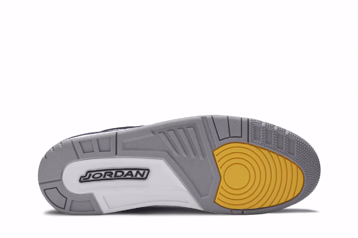 Air Jordan 3 Michigan Wolverines, view 5