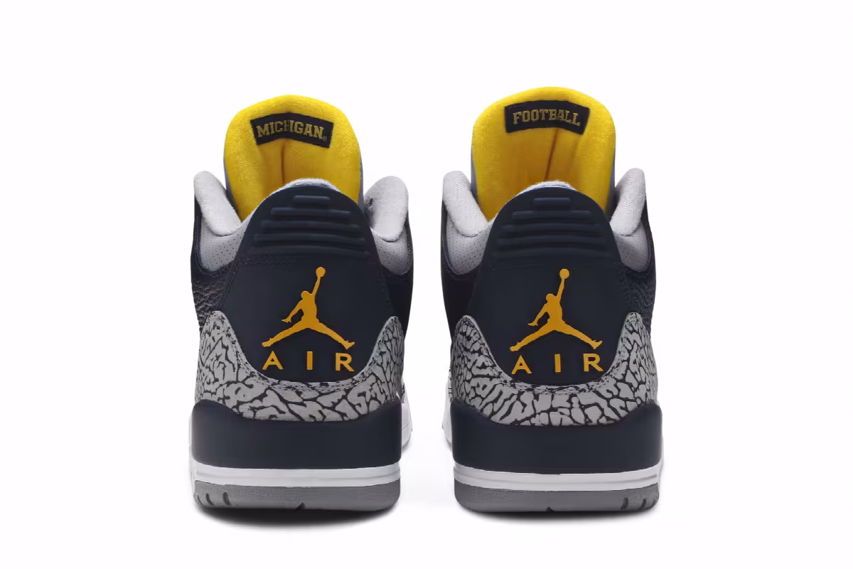 Air Jordan 3 Michigan Wolverines, view 7